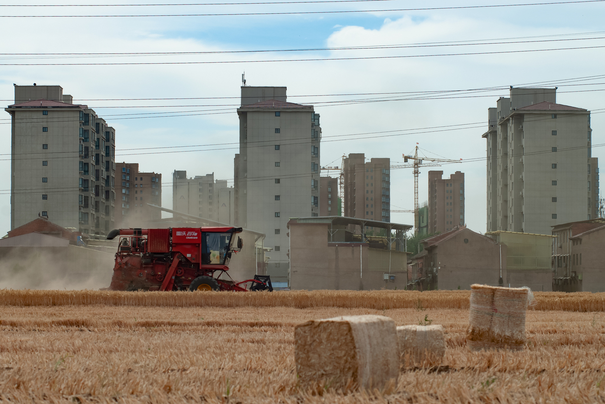 甘肃省武威市民勤县