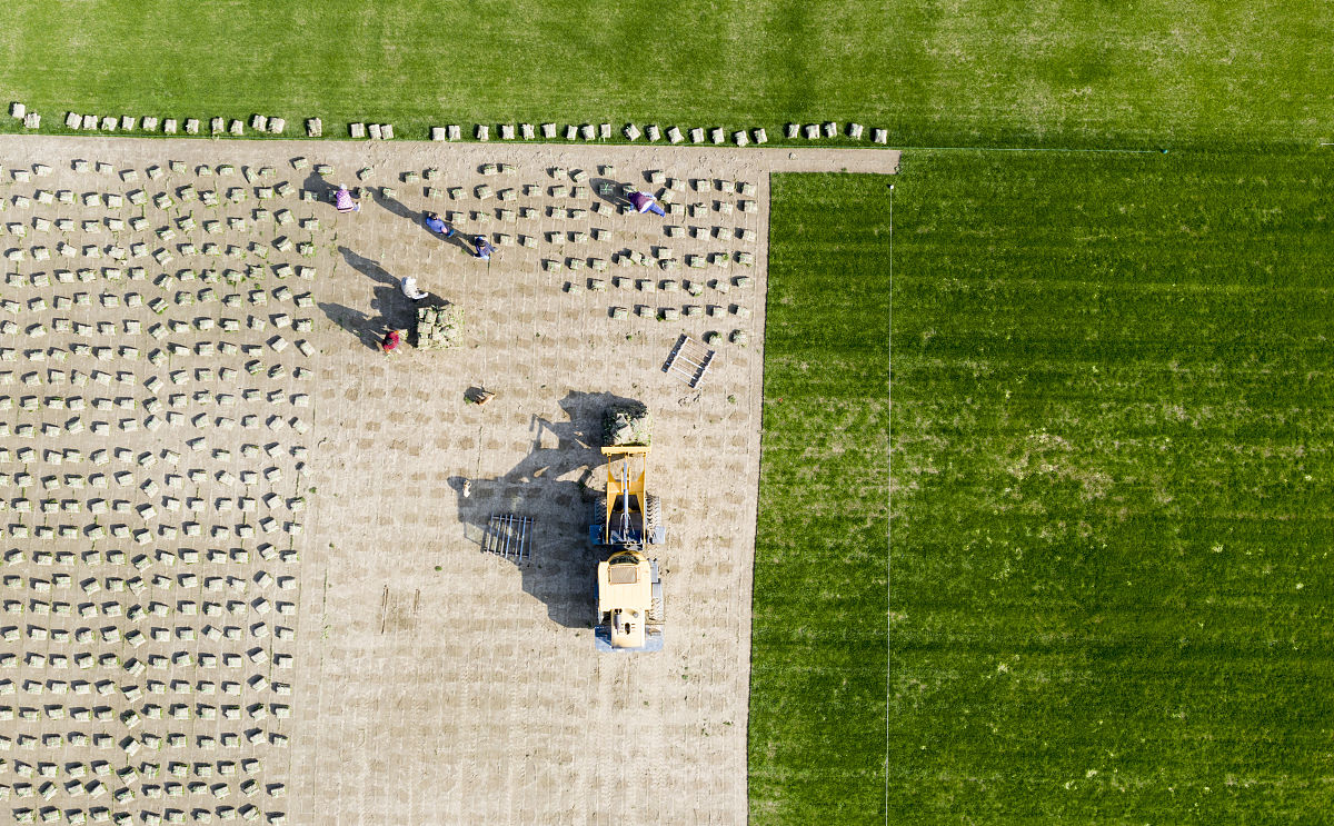 本作业类似于扫雷游戏the game of mines sweeper要求编程实现Tank游戏。游戏中坦克基于用户输入的位置在一个2D方格二维字符矩阵上开行。若该位置标有炸弹bomb那么游戏结束；若该位置未标有bomb则可将坦克开行到该位置；若用户能够连续5次开行坦克至无bomb位置则判定用户取得胜利。在二维方格on the 2D array的某些位置同样也埋有反炸弹anti-bomb坦克开行到标