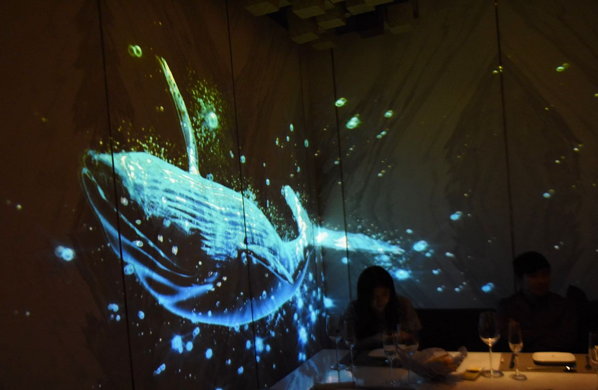 免费3D艺术展：探索沉浸式视觉盛宴