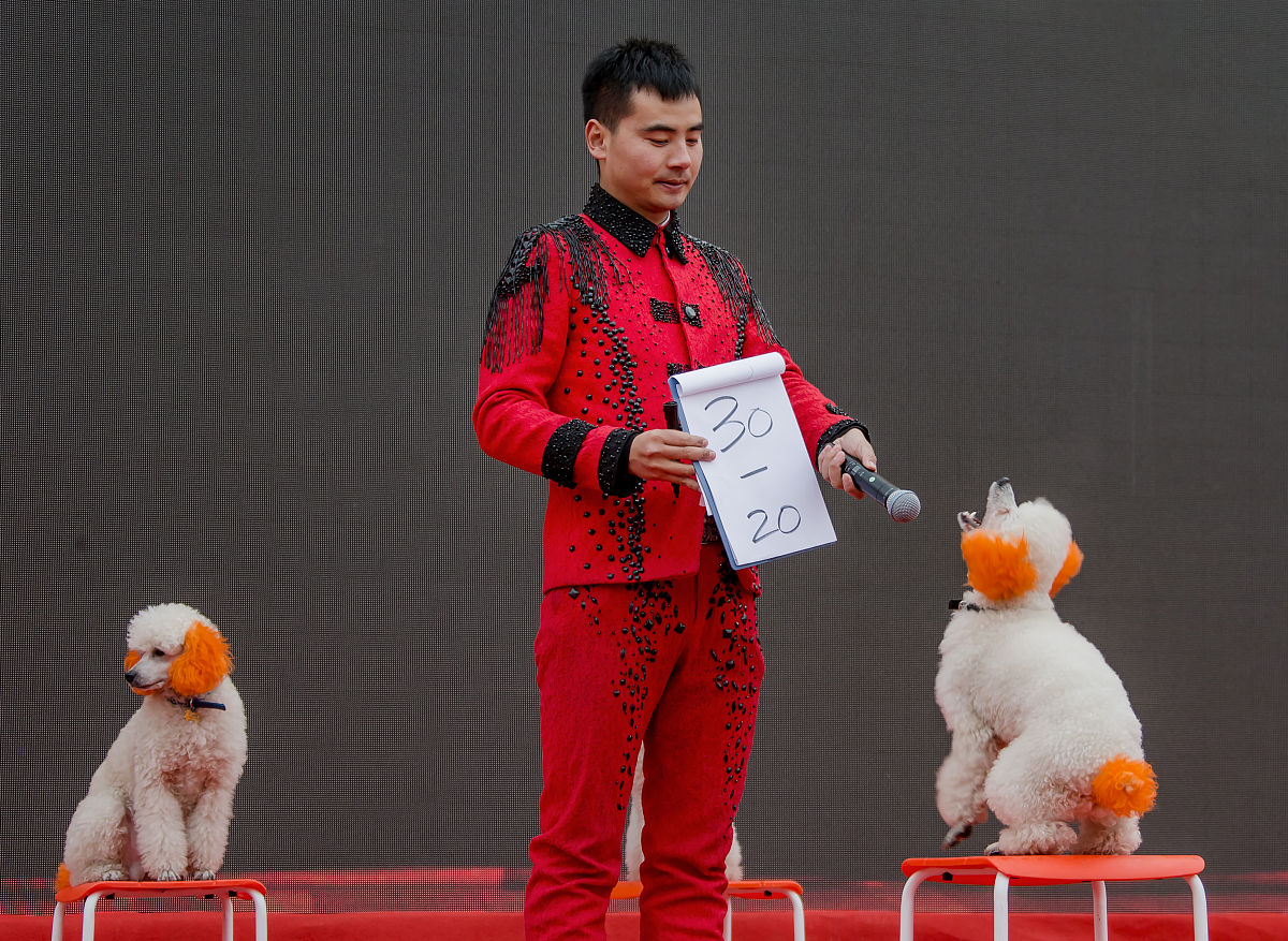 2020年北京百汇演艺学校招生简章 - 培养优秀艺术人才