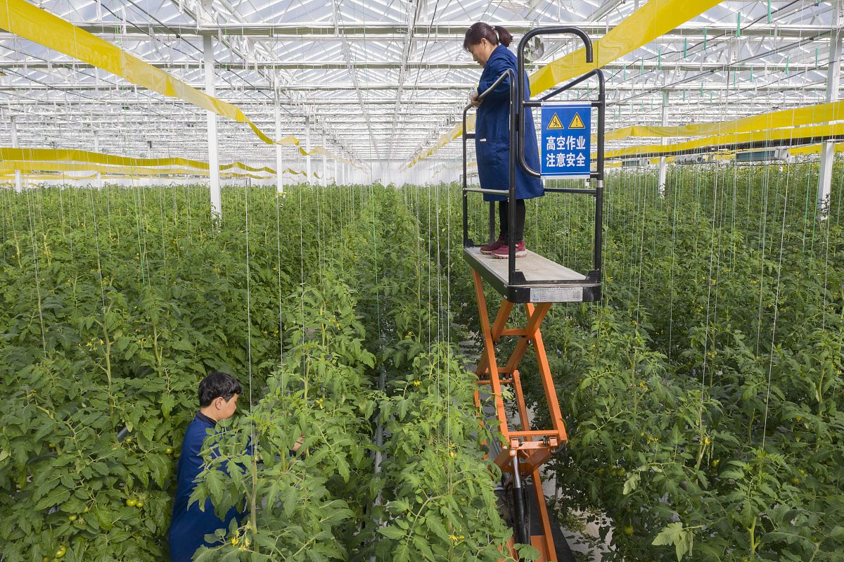 2021年日照农业学校开设有哪些专业