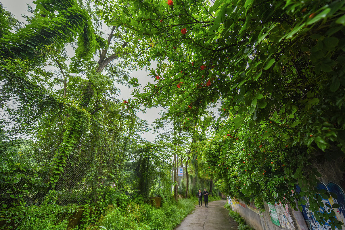 贵州读市场营销专业可以到哪些学校