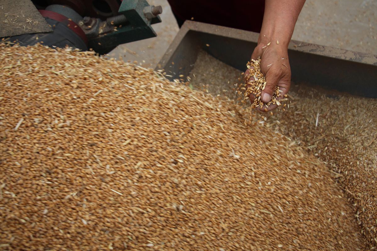 山东商务职业学院粮食工程技术与管理专业怎么样都要学些什么