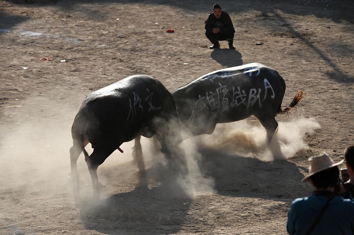 贵阳中专学校哪家强？2023就业前景分析！