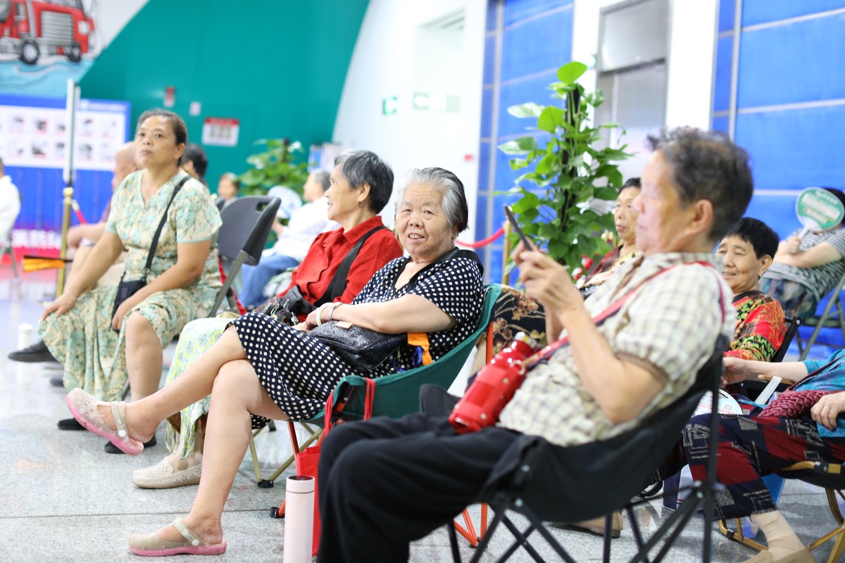 提升老年人生活品质：政府如何加强老年教育培训