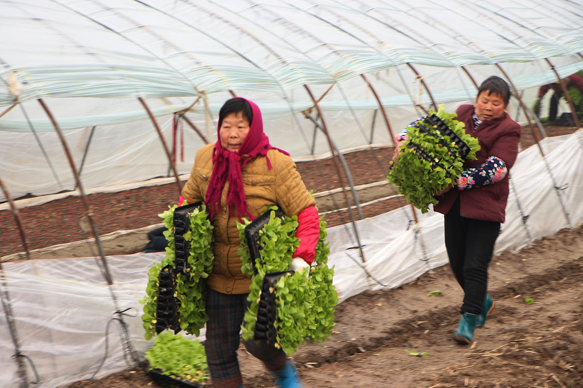曲周职教中心现代农艺技术专业怎么样