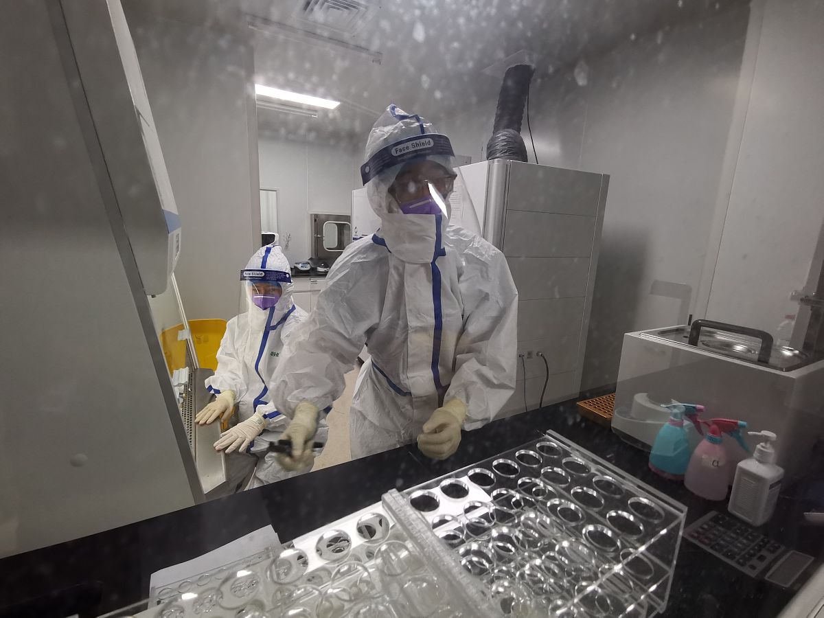 生物安全研究综述：从实验室到全球政策