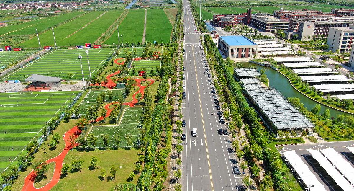 新和县高质量发展：推动经济社会全面进步