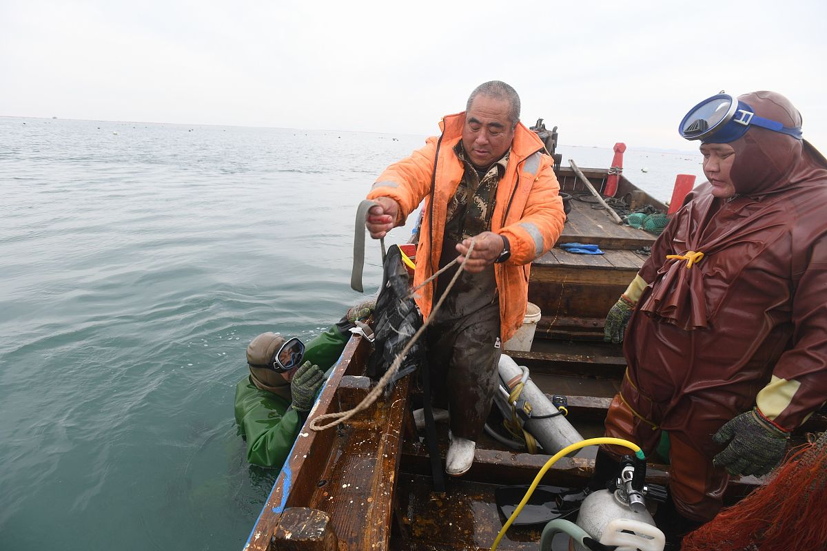 四川省水产学校怎么样？培养水产养殖人才的优质选择