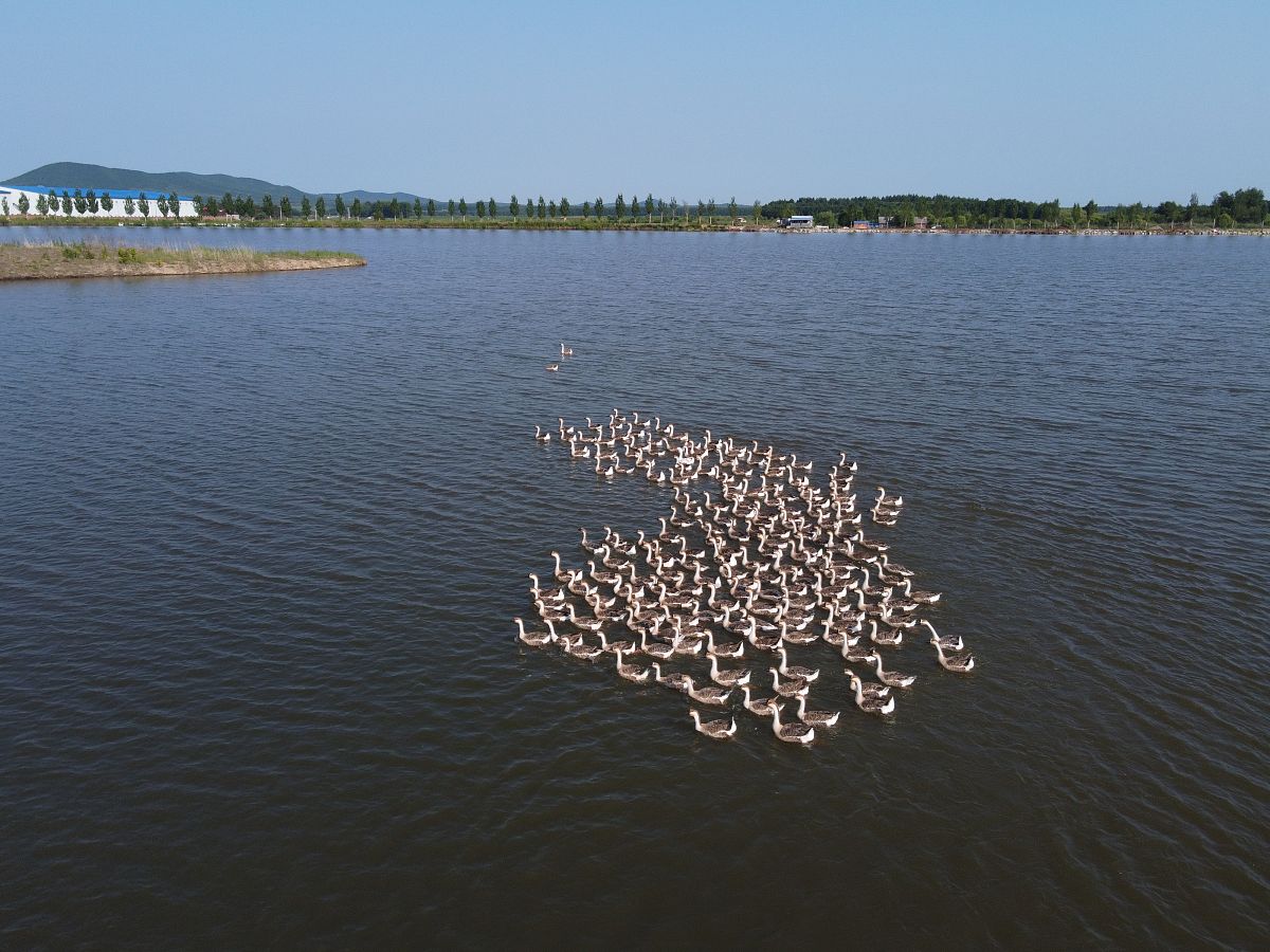 Distance from Jiamusi City, Heilongjiang to Wuhan