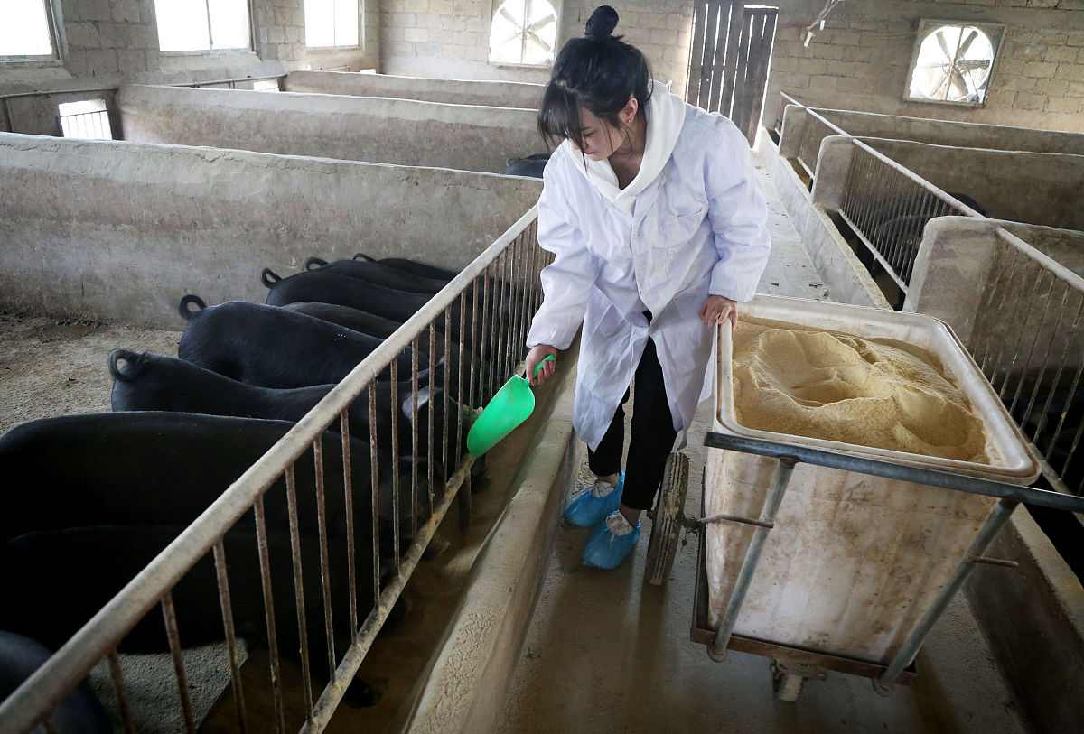 洛阳市卫生学校医学检验技术专业怎么样？值得报考吗？