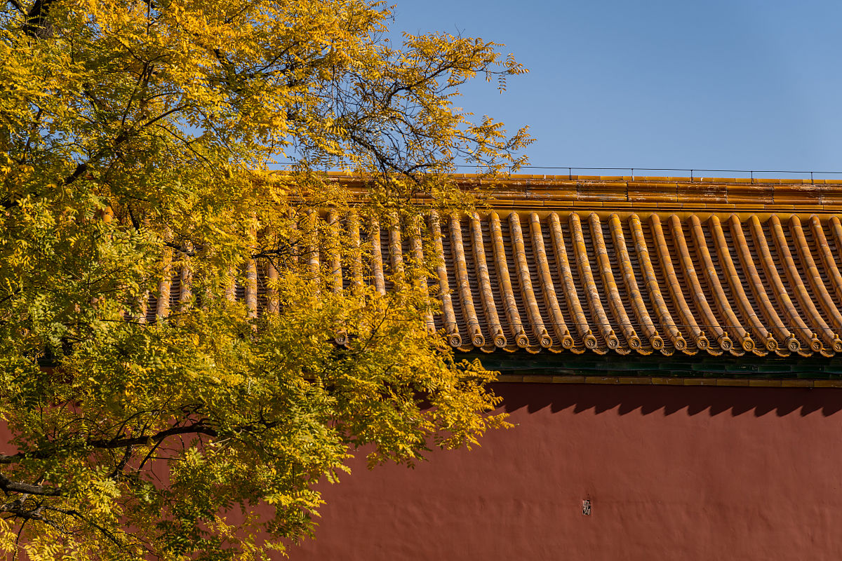 请写一篇作文题目是北京的秋天。通过描写由夏天到秋天景色细节的变化描写北京秋天天坛城楼落叶大树公园的秋景表现北京秋天独特的美丽和特点