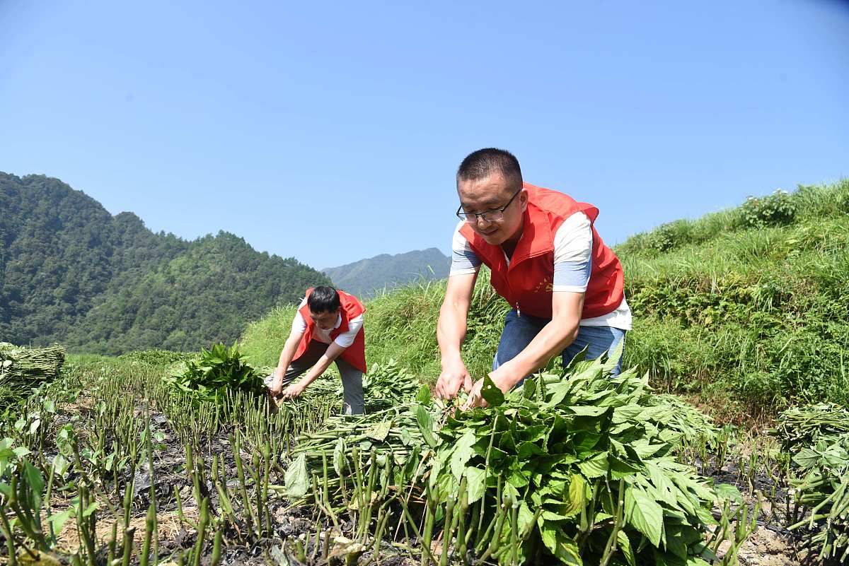 贵州档案数字化甲级公司名录及服务推荐