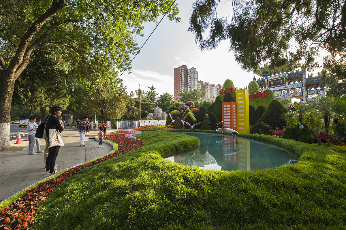 写一篇关于延安市宝塔区应对园林景观绿化过程中应用大树进城的意义。