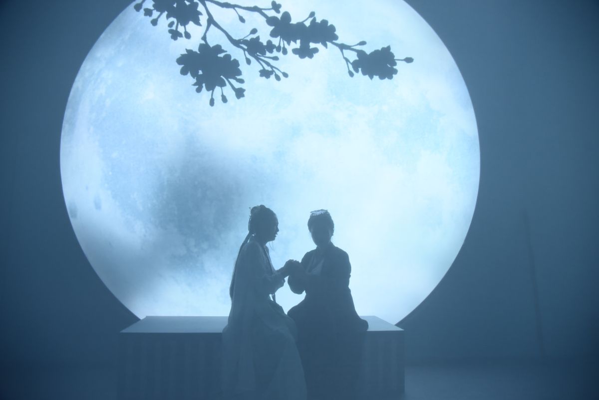 请描写一下夜晚漫天的繁星美丽的月色下年轻人看着老婆婆的背影慢慢走去回房间休息的画面