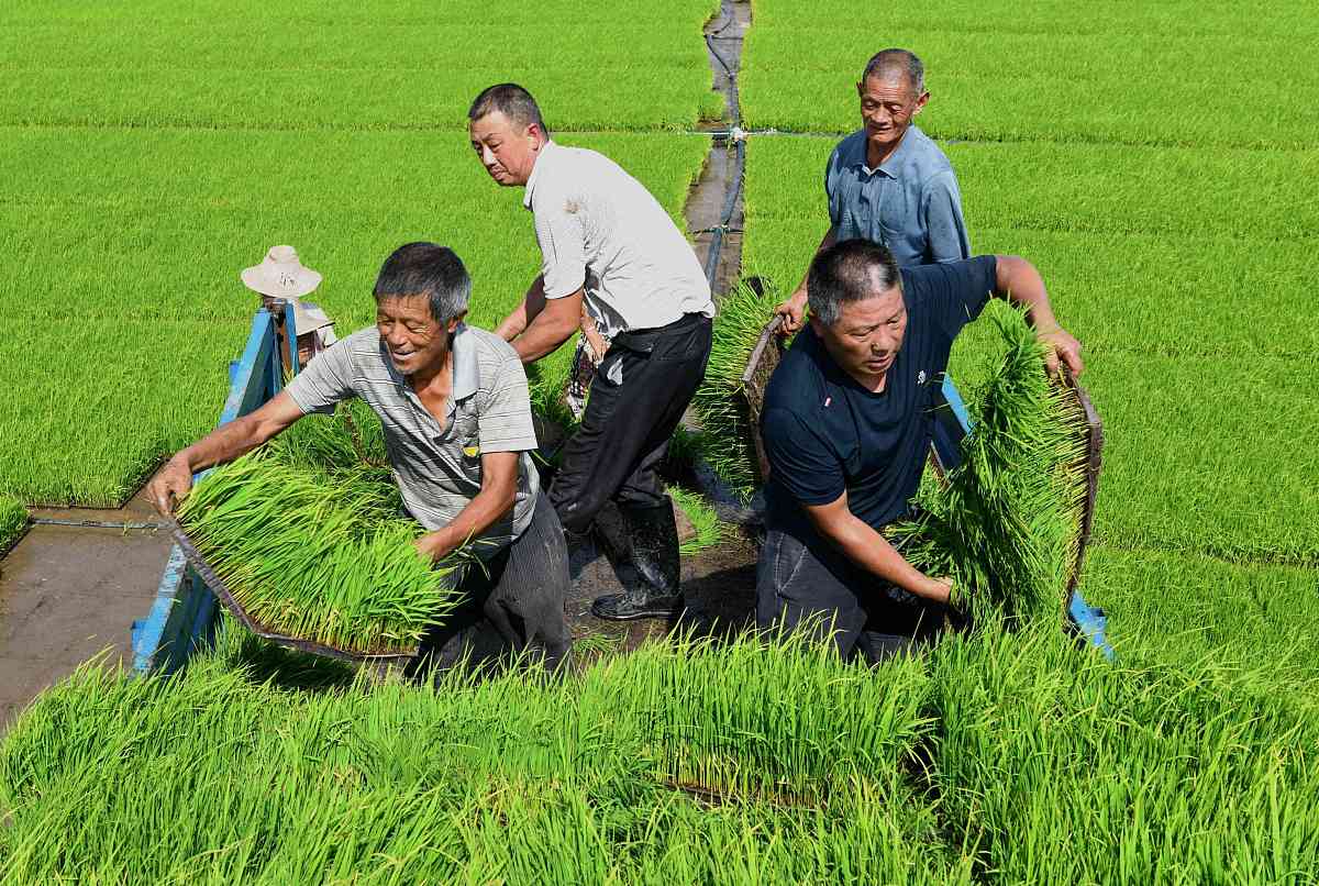 2019红河州农业学校办学条件