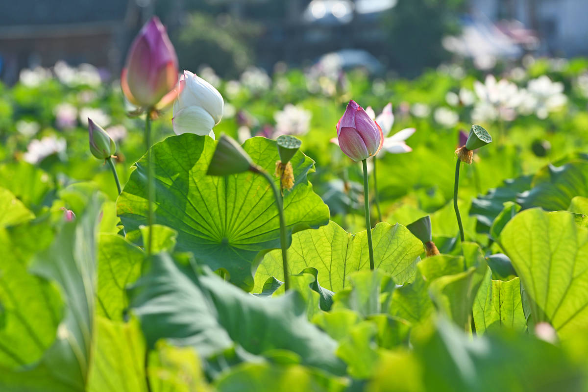 岑巩中等职业技术学校2021年招生办联系电话