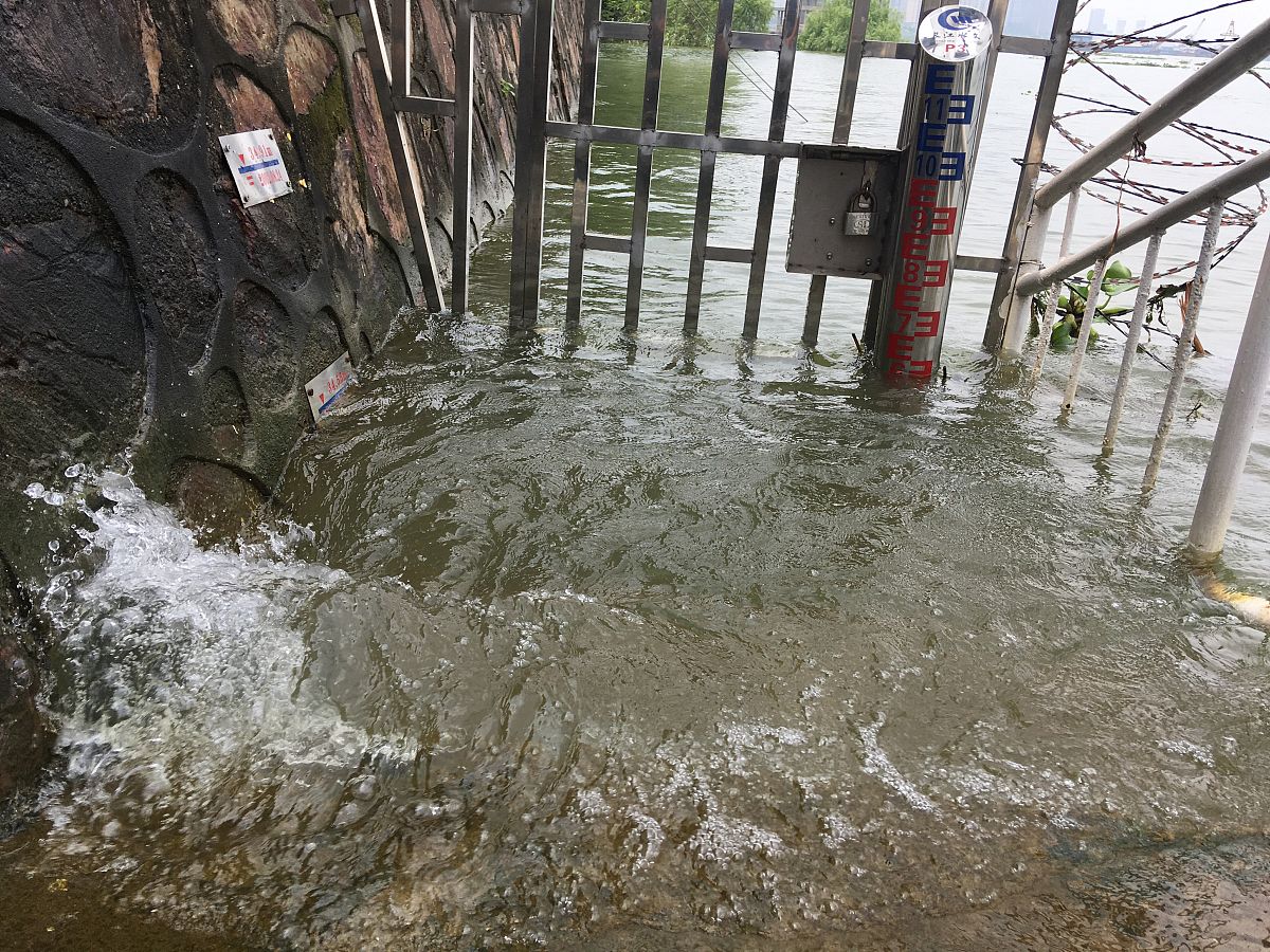 2020年7月30日,湖南岳阳,当日5时,长江水利委员会水文局城陵矶(七里山
