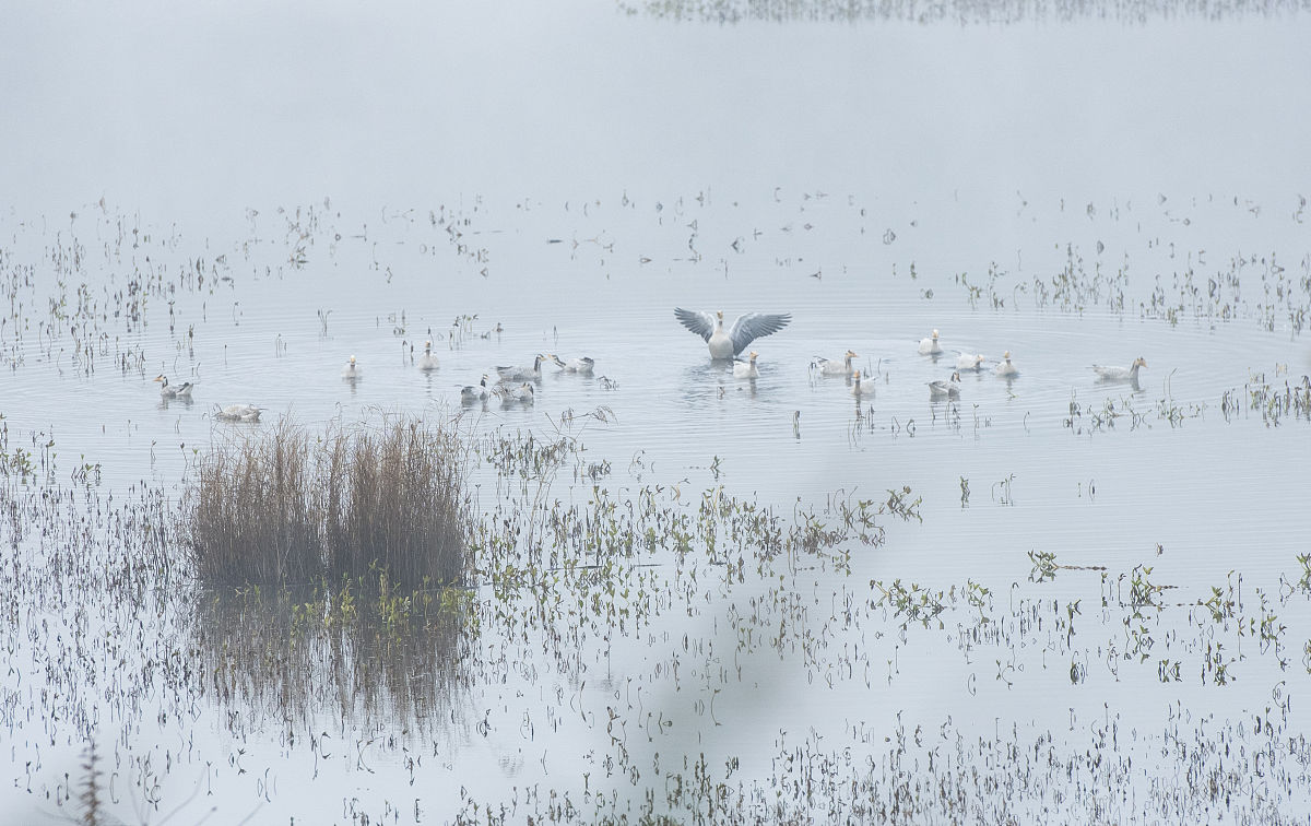 云南中医药学校三年制招生要求：2021年入学条件