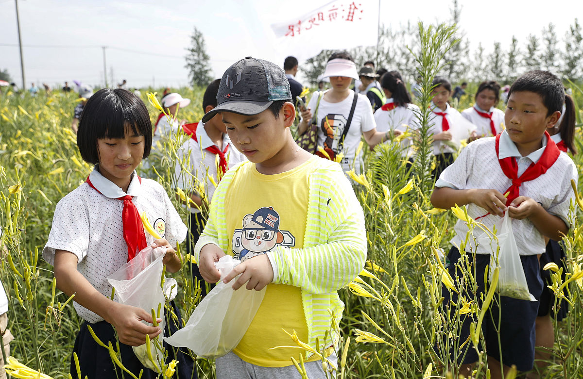石家庄现代农业学校劳动教育案例