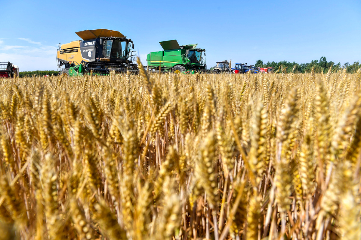 植物油和谷物作为俄罗斯产量和出口量最大的农产品在世界的粮油市场占据着重要的地位。在2018年至2020年三年之间俄罗斯的小麦、大麦的平均产量分别是774951万吨和194733万吨分别占全球总产量的103和1283；三年间小麦、大麦的出口量分别是377020万吨和47819万吨分别占全球出口量的2016和1413。2018年-2020年三年内俄罗斯的葵花籽和葵花籽油的平均产量为138165万吨和5