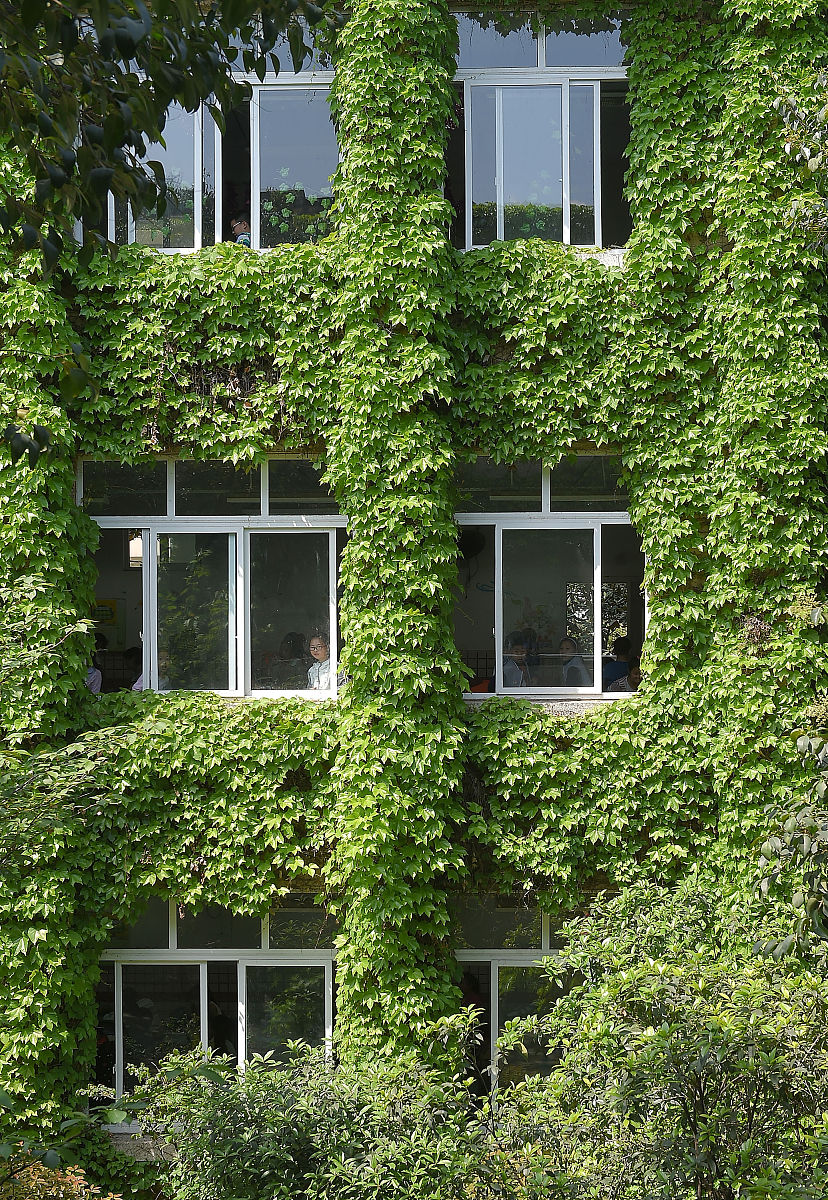 成都市铁路工程学校就业前景分析：专业方向与就业机会