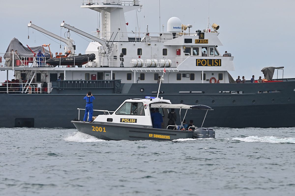 翻译：对该患者进行超声造影检查数据收集和初稿撰写