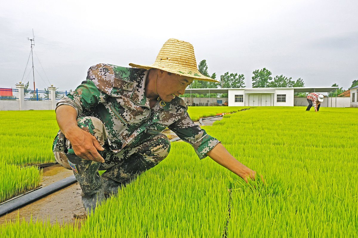 安徽兴鹏科技学校2023年招生简章：专业、人数、条件