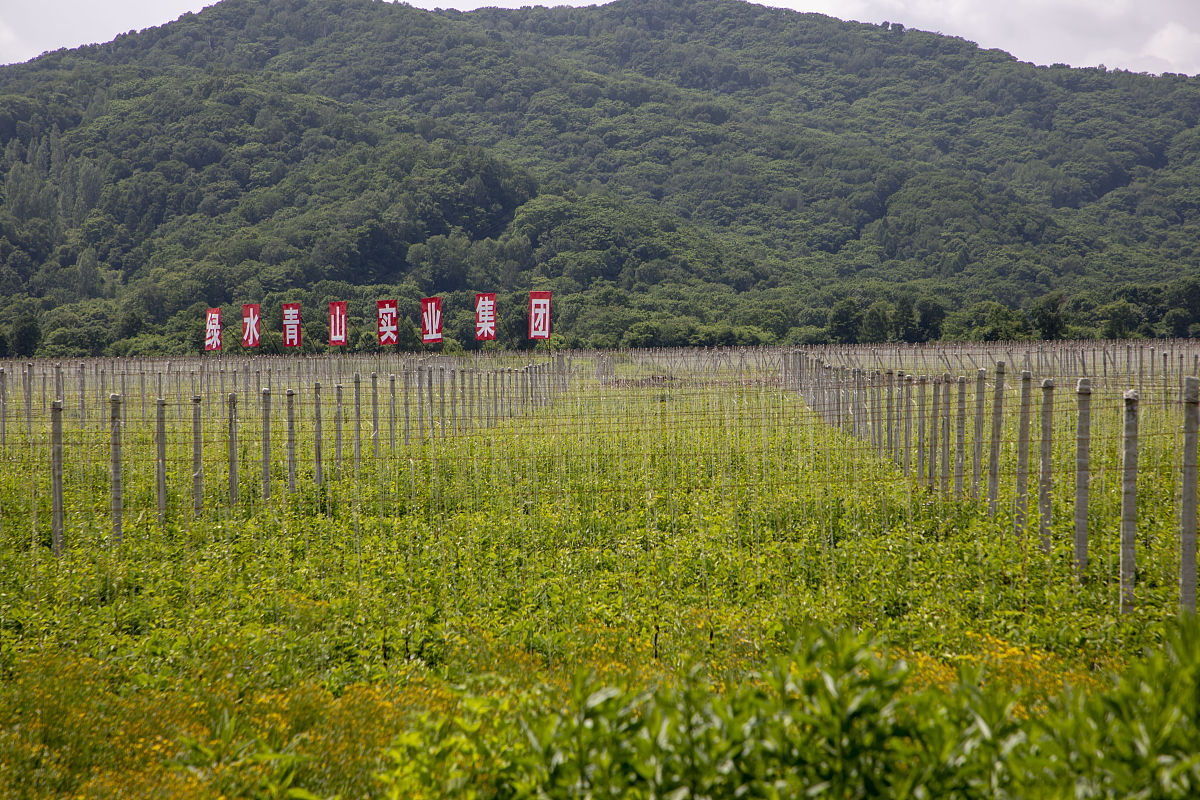 辉南县gdp回答+拓展