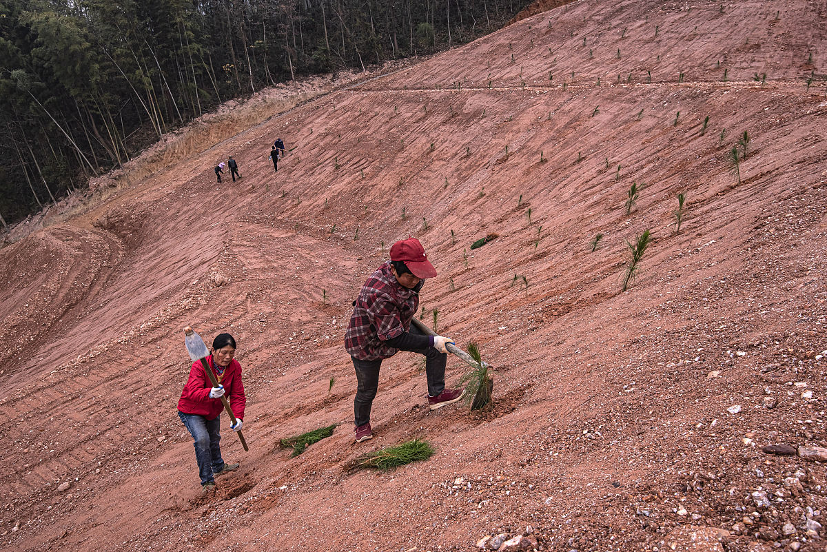 江西工程学校矿物开发与处理中级工好不好？有什么招生要求