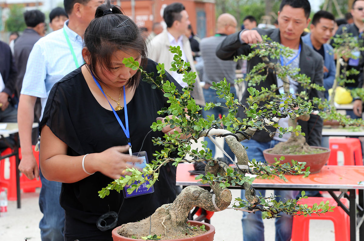 绵阳中专学校学制：三年制职业教育