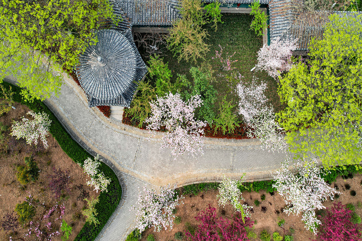 河南省理工学校2022年招生简章 - 综合实力，多元发展