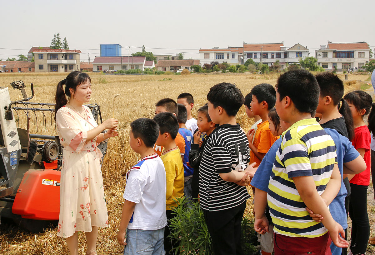 沈阳工业大学继续教育学院怎么样好不好