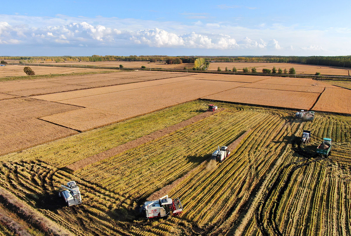 黑龙江农垦职业学院药学专业涉及哪些课程