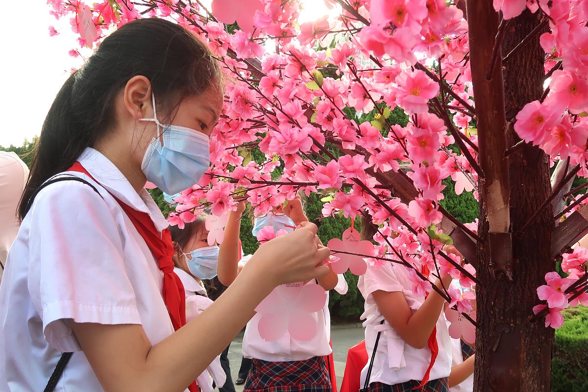 学思践悟，行稳致远：从学习到实践的感悟与寄语