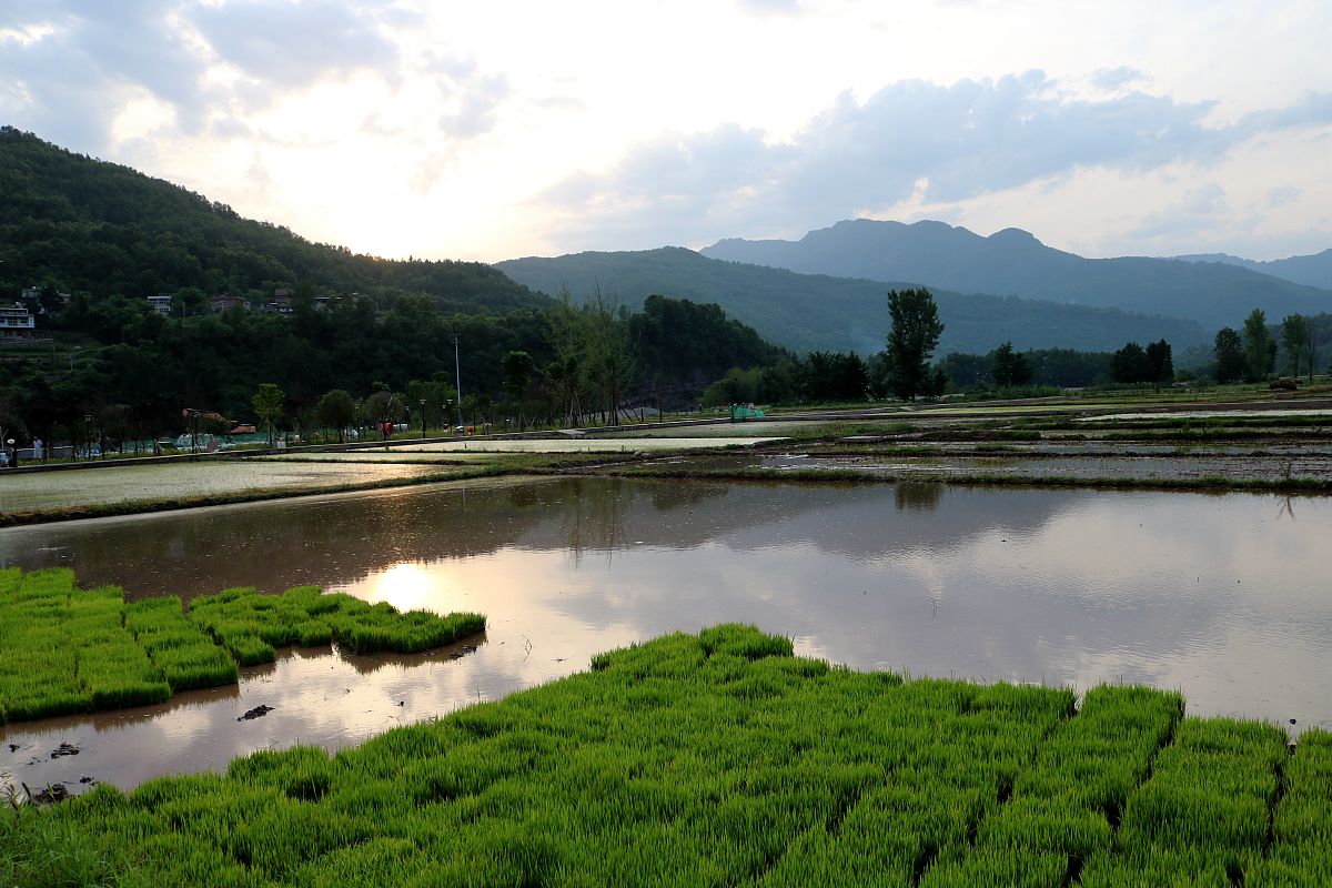 巴中哪所中专学校比较好