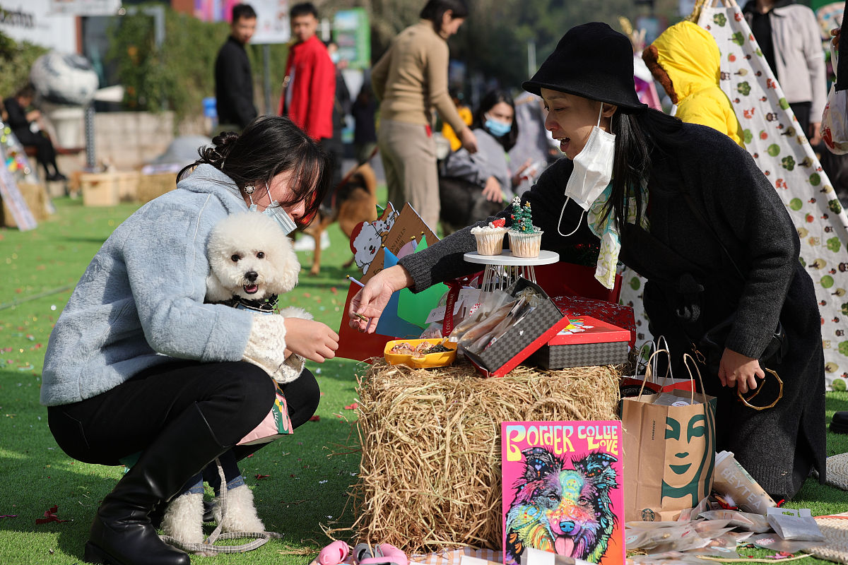 宠物主题集市好名字推荐：创意十足，吸睛满满！