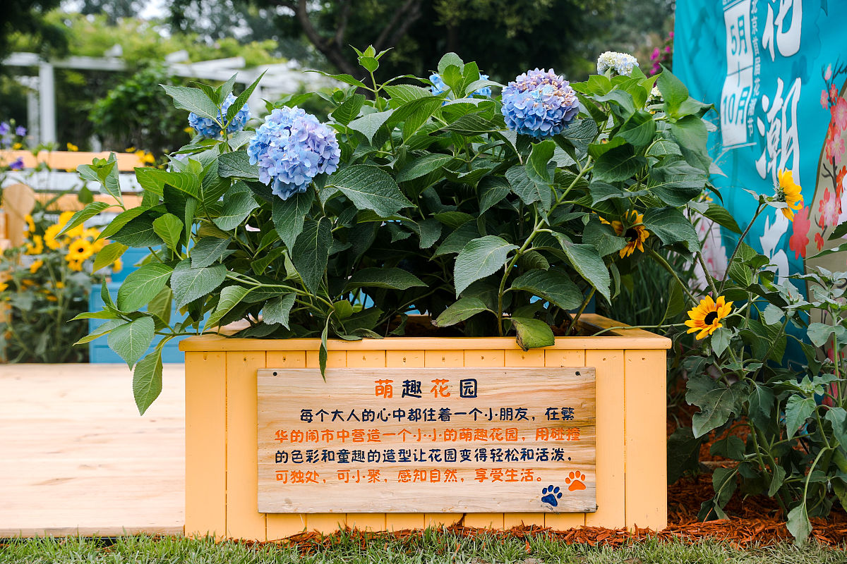 常州市媒体曝光求助热线电话是多少？老百姓有困难怎么办？回答必须在1000字左右的文章