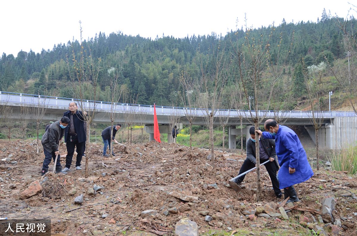 安塞区农村电力网络管理问题及对策研究