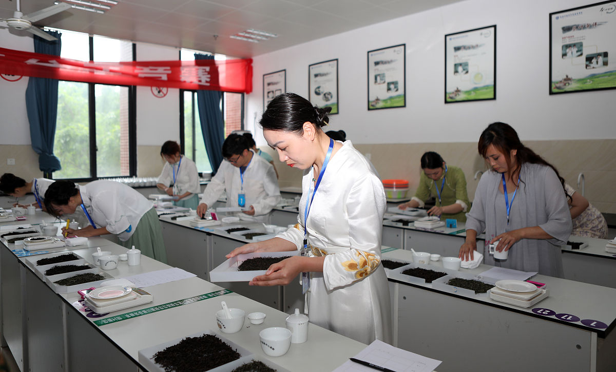 商丘职业技术学院食品检测及管理专业好就业吗怎么样