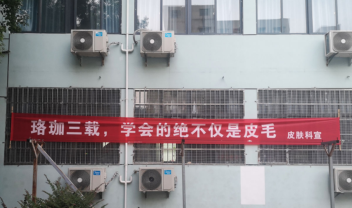 创意迎新标语：充满诗意，寓意美好