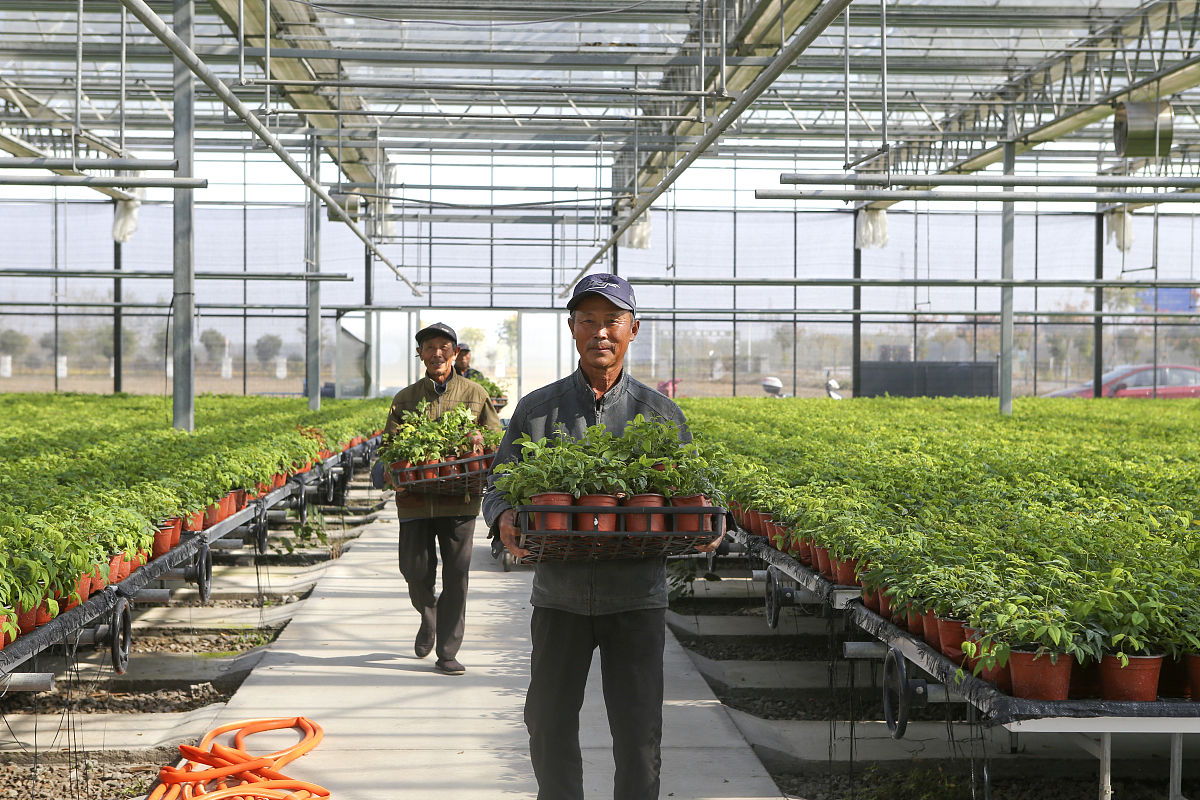 荣县金科职业技术学校设施农业生产技术专业教学主要内容都有哪些好不好