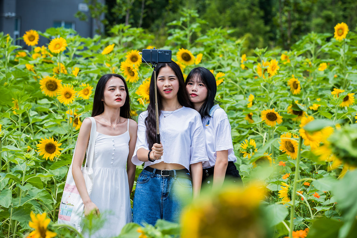 2020年重庆电信职业学院物联网应用技术专业介绍