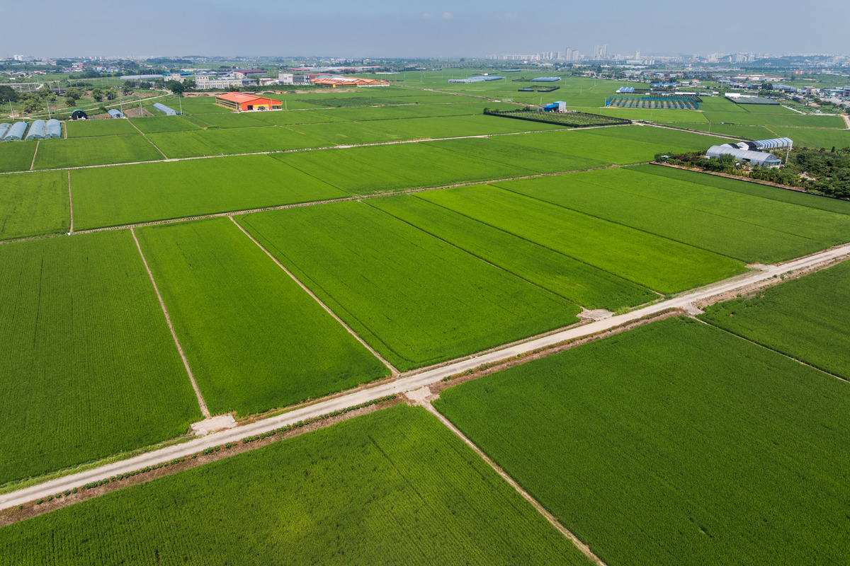 水利部投入406亿，推动大中型灌区建设，保障粮食安全