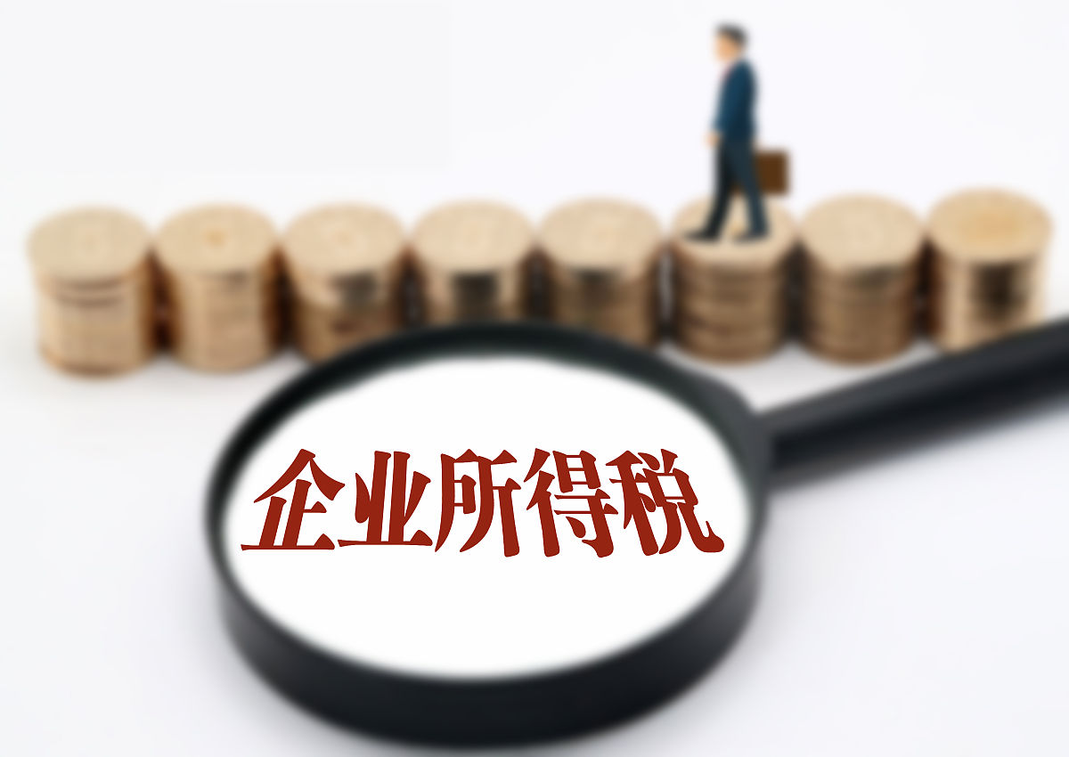 公司税务恢复情况说明