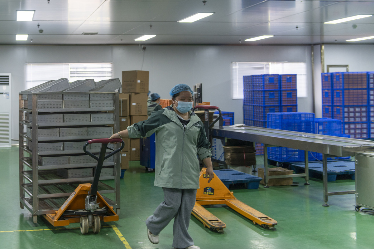 2026年4月8日,在贵州省从江神瑶保健品有限公司,工人"