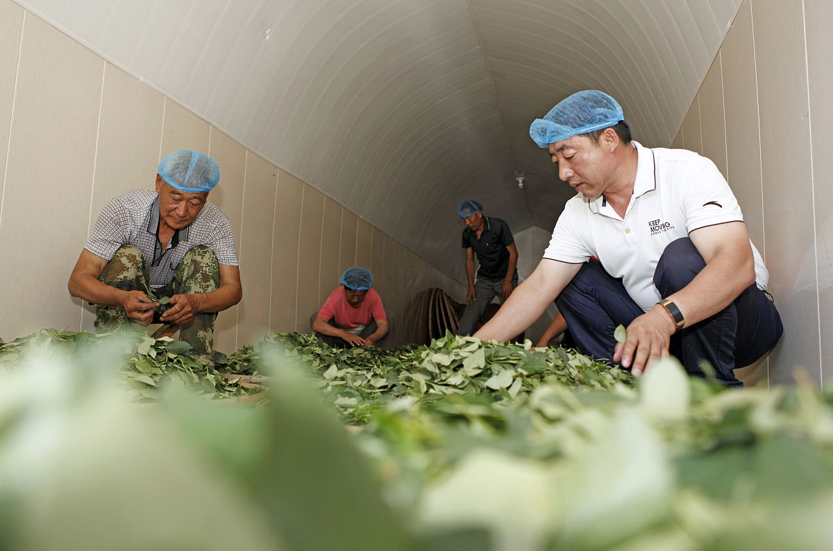 临汾文化艺术学校2023年招生简章-报名方式及录取条件