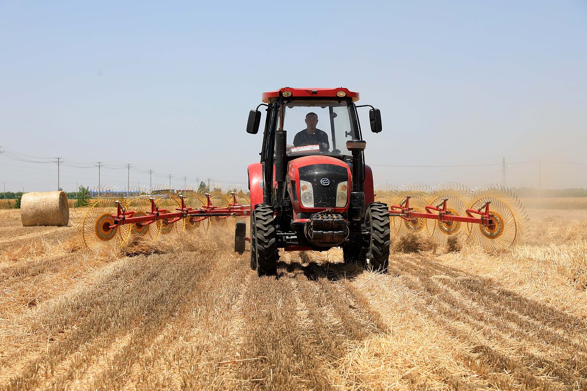 濉溪职业技术学校2021年招生专业：机械、电子信息、财经、文化艺术等