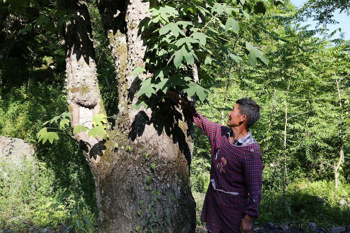 2019年安康育英中等职业学校招生简章
