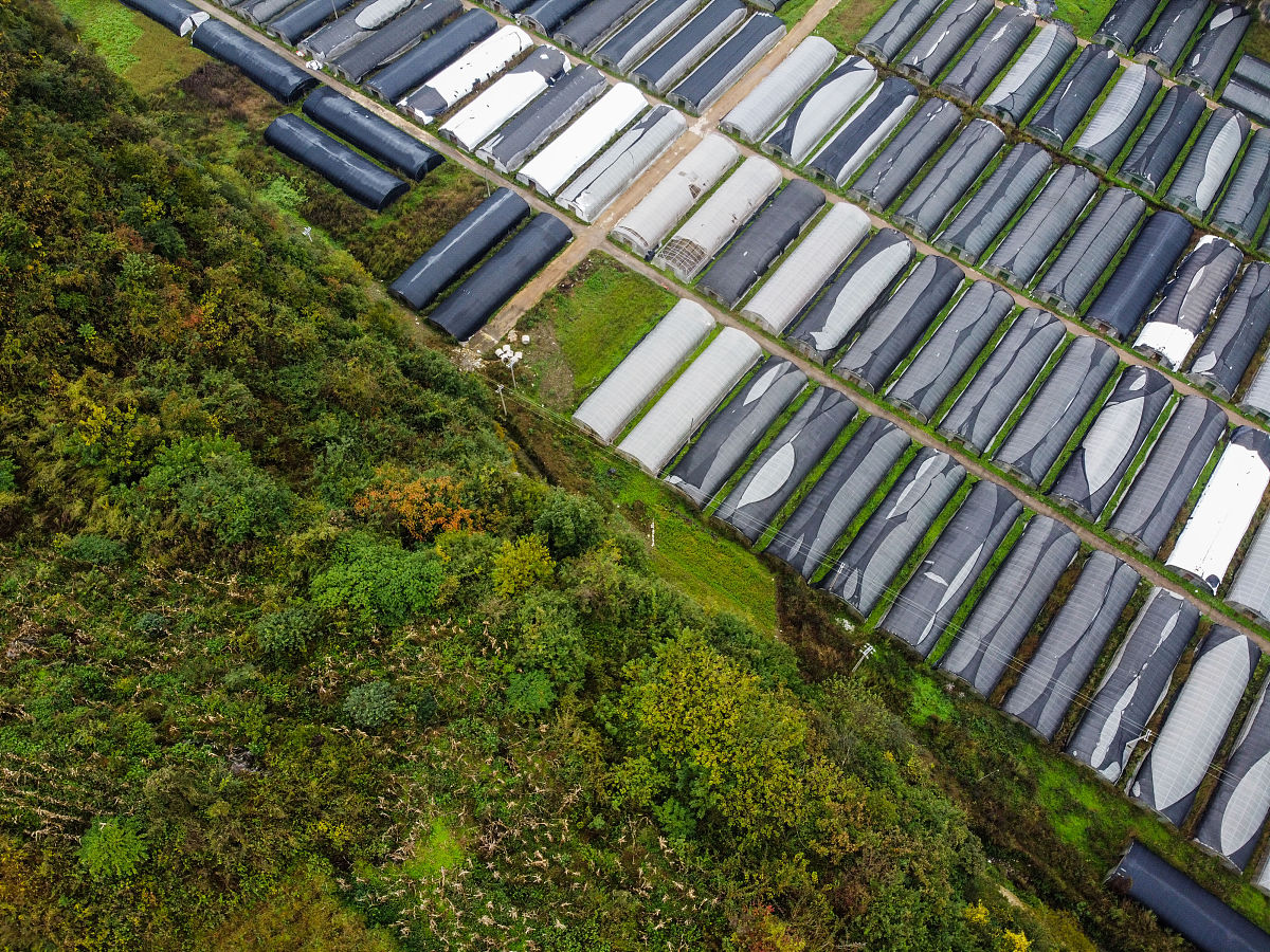 浙江中医药大学中草药栽培与鉴定专业招生哟球怎么样？